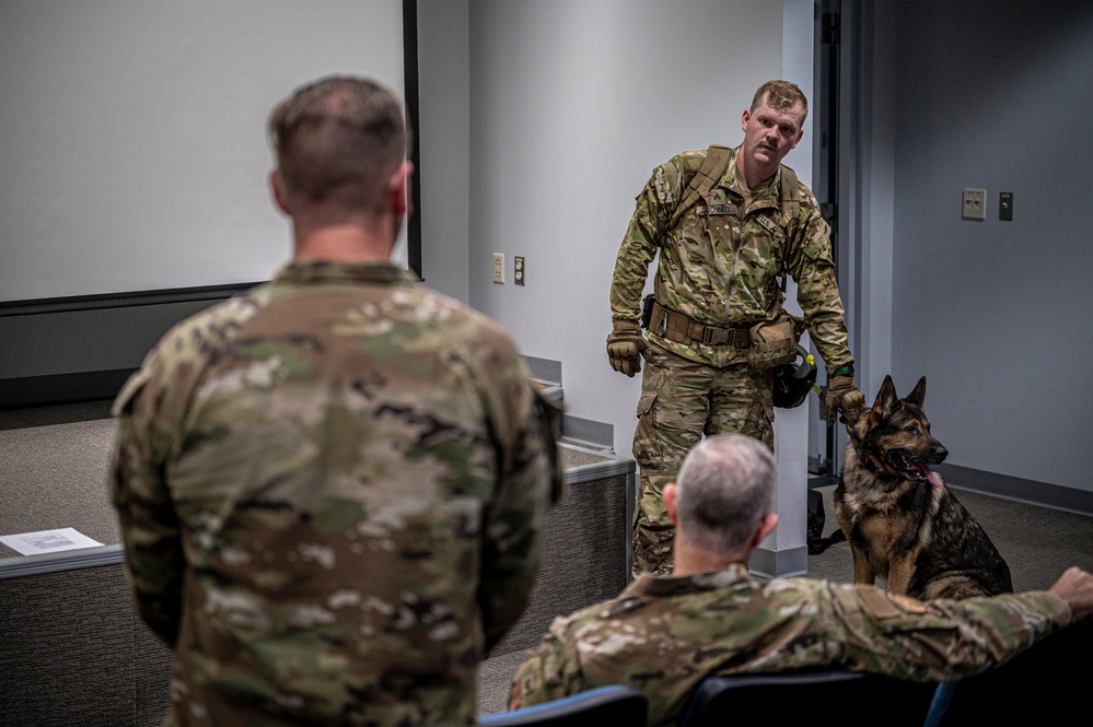 928th MWD detachment, 103rd AW conduct joint working dog training