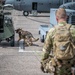 928th MWD detachment, 103rd AW conduct joint working dog training