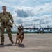 928th MWD detachment, 103rd AW conduct joint working dog training