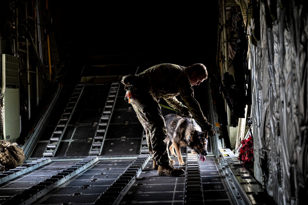 928th MWD detachment, 103rd AW conduct joint working dog training