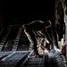 928th MWD detachment, 103rd AW conduct joint working dog training