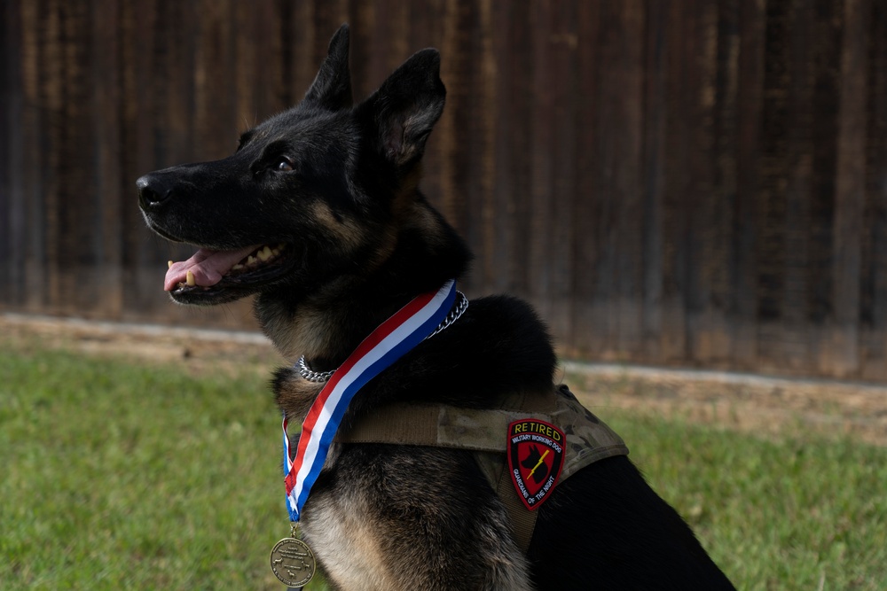 Honoring furry heroes in retirement