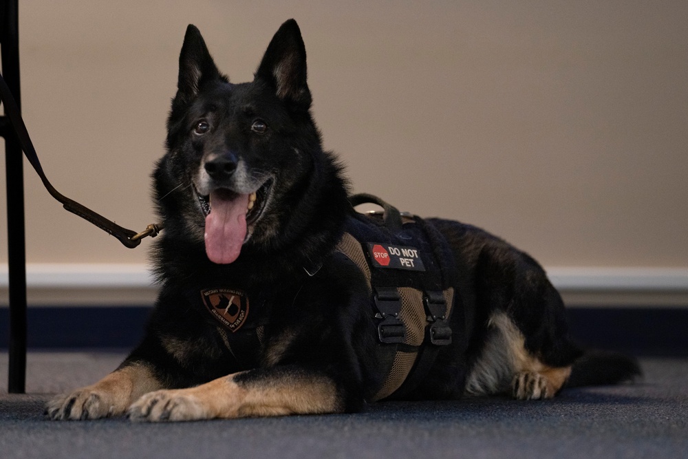 Honoring furry heroes in retirement