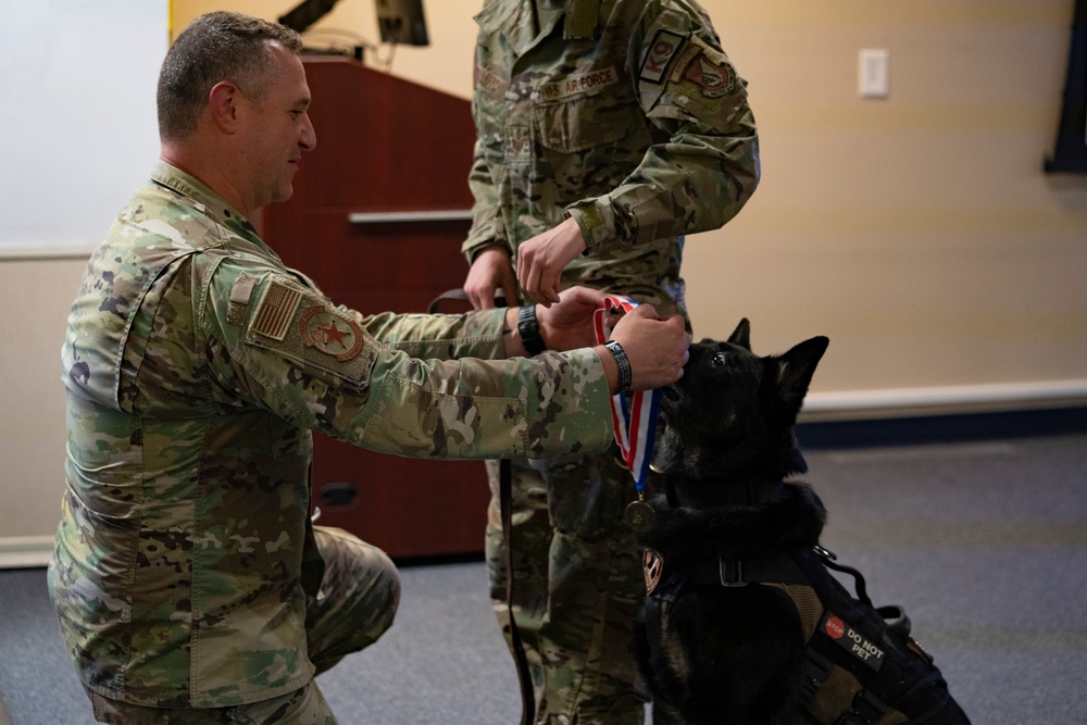 Honoring furry heroes in retirement