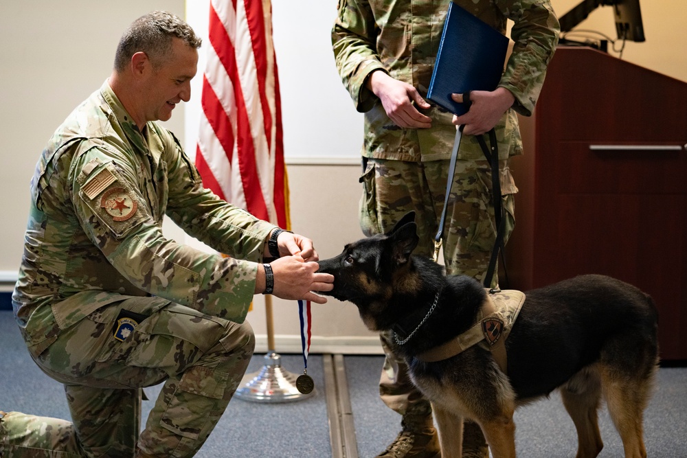 Honoring furry heroes in retirement