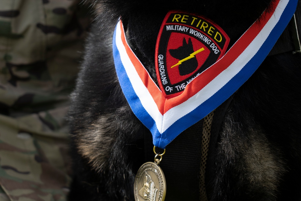 Honoring furry heroes in retirement