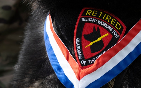 Paws and patriotism: honoring furry heroes in retirement