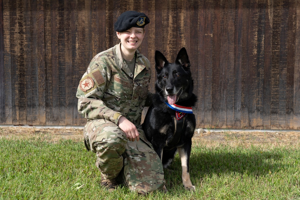 Honoring furry heroes in retirement