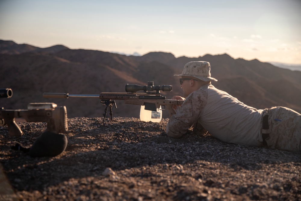 Long Shot: Recon Conducts Sniper Range during RUT