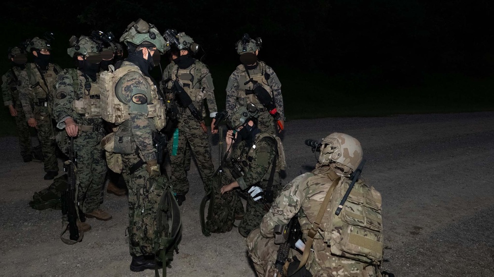 Guardians in the Shadows: Combined ROK-U.S. Special Operations Forces Training