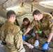 25ID and ADF Soldiers Conduct MEDEVAC Training