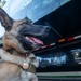 K9 and Recruiters at the Colorado State Fair