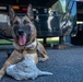 K9 and Recruiters at the Colorado State Fair