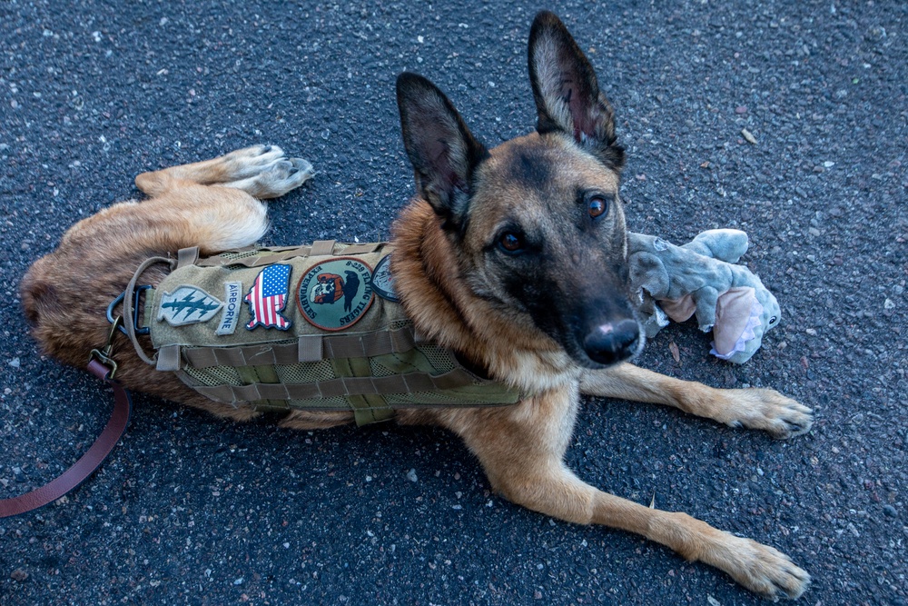 K9 and Recruiters at the Colorado State Fair