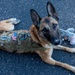 K9 and Recruiters at the Colorado State Fair