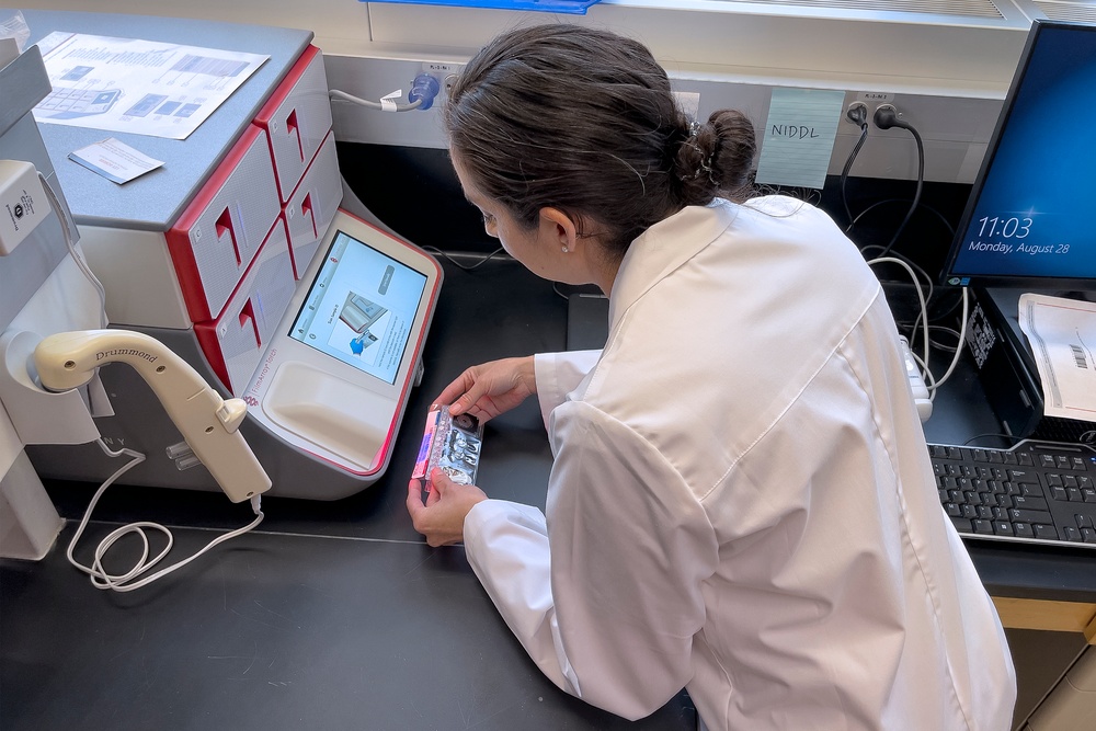 NMRC Infectious Disease Diagnosis Lab Runs Tests to Detect and Identify Pathogens