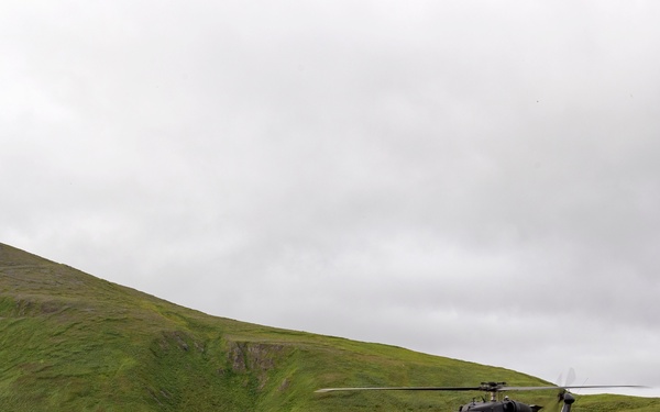 Navy SEALs Conduct Operation Polar Dagger
