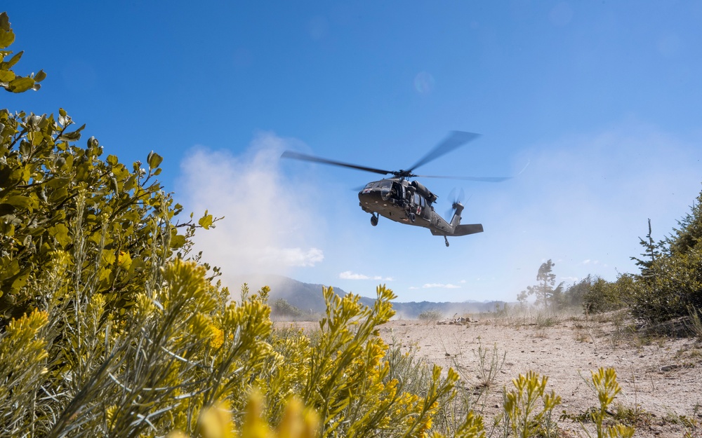 Army and Air National Guard Joint Medical Training