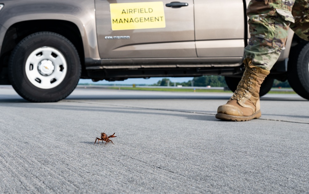 437th OSS conducts airfield inspection after Hurricane Idalia