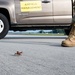 437th OSS conducts airfield inspection after Hurricane Idalia