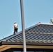 Army Corps of Engineer-led project at Sparta-Fort McCoy Airport, cantonment area underway for new roofing at Fort McCoy