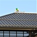 Army Corps of Engineer-led project at Sparta-Fort McCoy Airport, cantonment area underway for new roofing at Fort McCoy