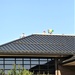 Army Corps of Engineer-led project at Sparta-Fort McCoy Airport, cantonment area underway for new roofing at Fort McCoy