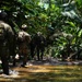 ADLA/ Relámpago 2023: Personnel Recovery Training