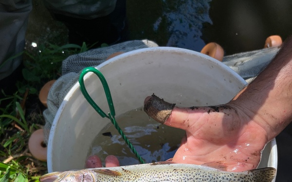 Mountlake Terrace Aquatic Ecosystem Restoration Project