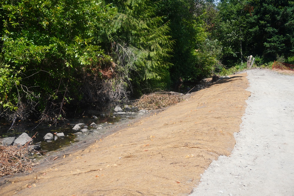 Mountlake Terrace Aquatic Ecosystem Restoration Project