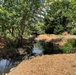 Mountlake Terrace Aquatic Ecosystem Restoration Project