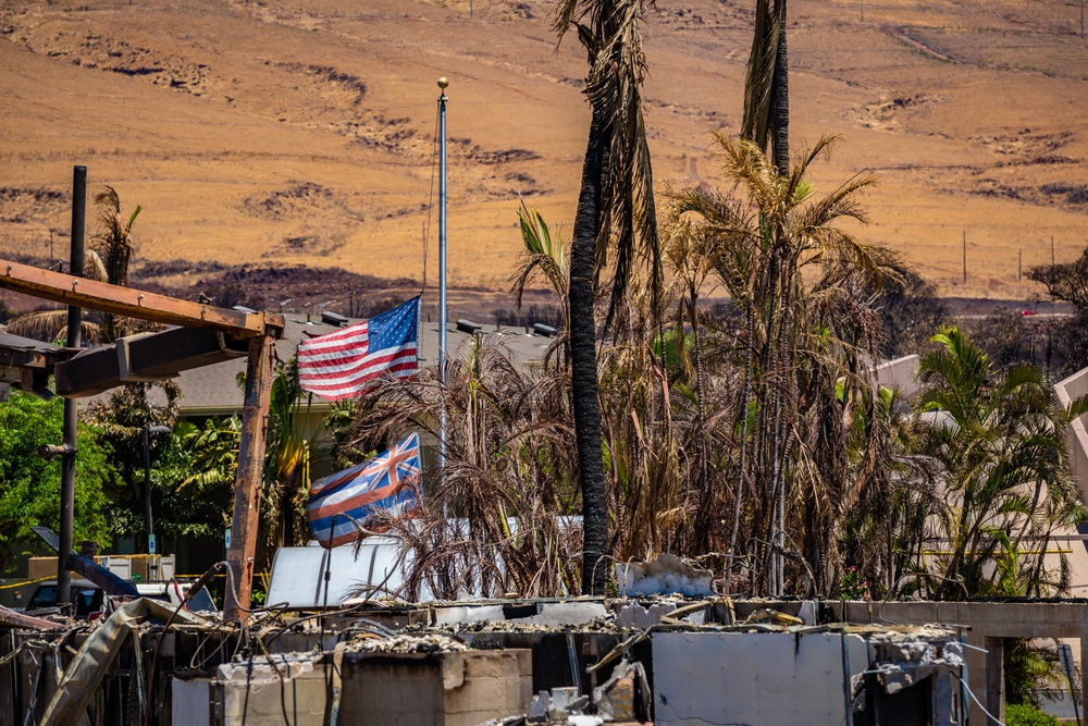 JTF-50's Dedicated Safety Efforts Continue in Lahaina After Wildfire