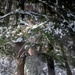 Air Force Cold Weather Training at Fort McCoy