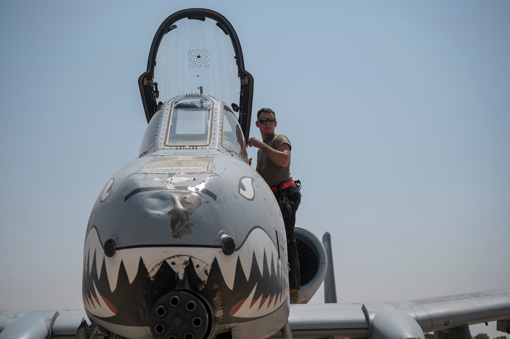 U.S. Air Force F-16s, A-10s participate in Bright Star 23