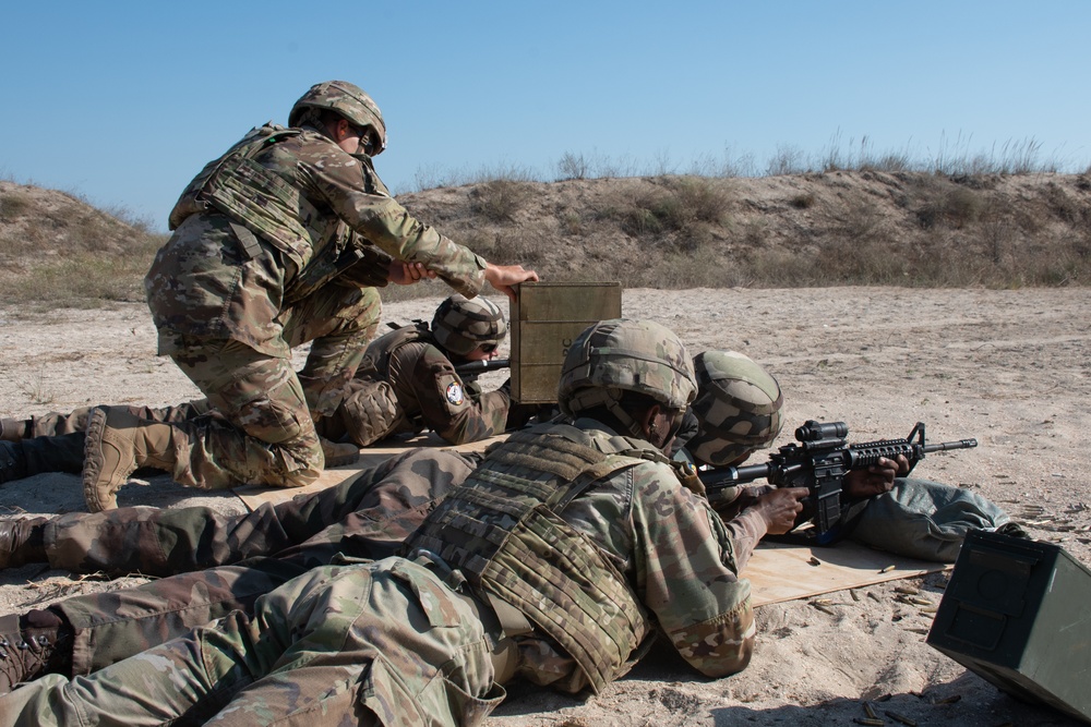 Tri-Service Live Fire Training