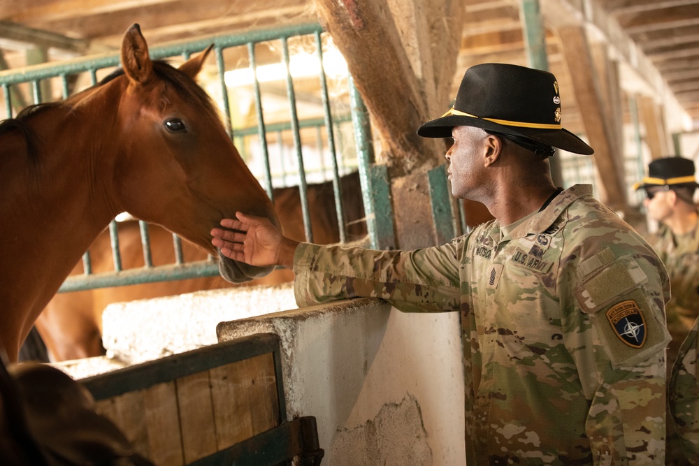 One Last Hussar: 1-9 Cavalry Leadership gets back to equine roots in Poland