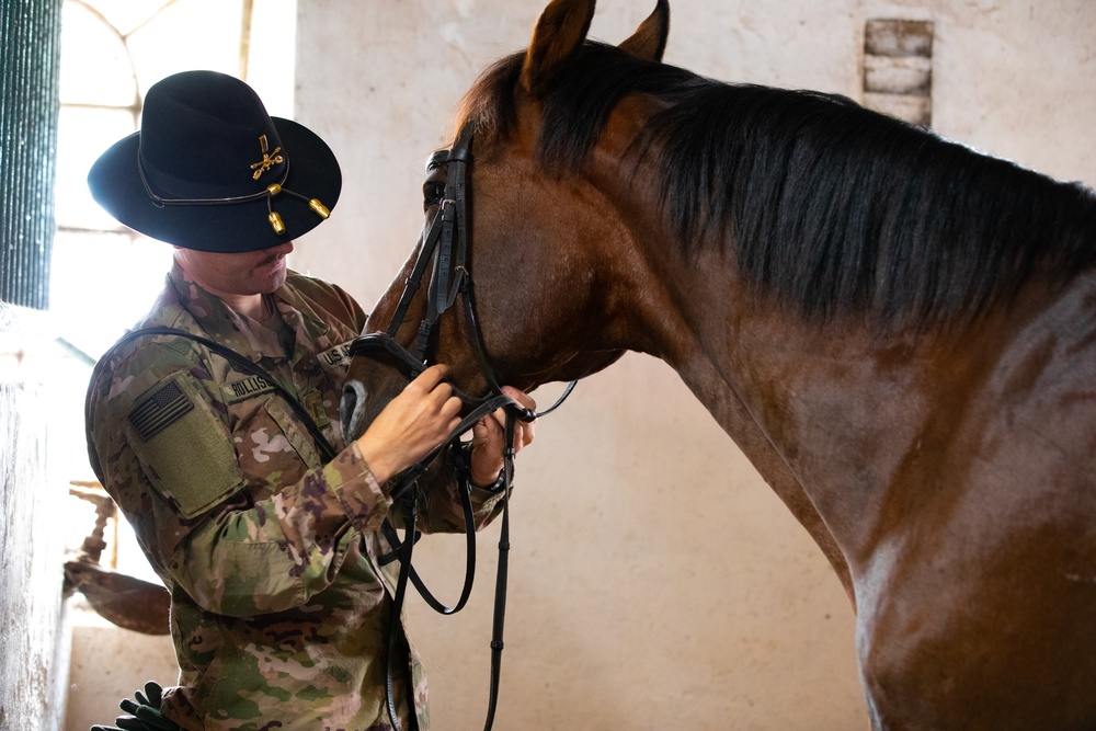 One Last Hussar: 1-9 Cavalry Leadership gets back to equine roots in Poland