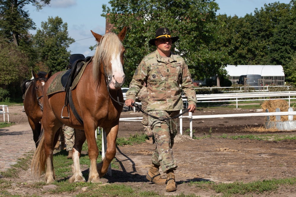 One Last Hussar: 1-9 Cavalry Leadership gets back to equine roots in Poland