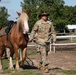 One Last Hussar: 1-9 Cavalry Leadership gets back to equine roots in Poland