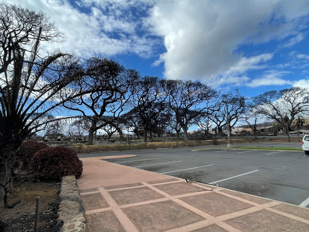 Photos showing Lahaina area as of Aug. 28, 2023