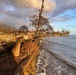 Photos showing Lahaina area as of Aug. 28, 2023
