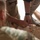 U.S., Egyptian Service Members Conduct Tactical Combat Casualty Care Training U.S., Egyptian Service Members Conduct Tactical Combat Casualty Care Training