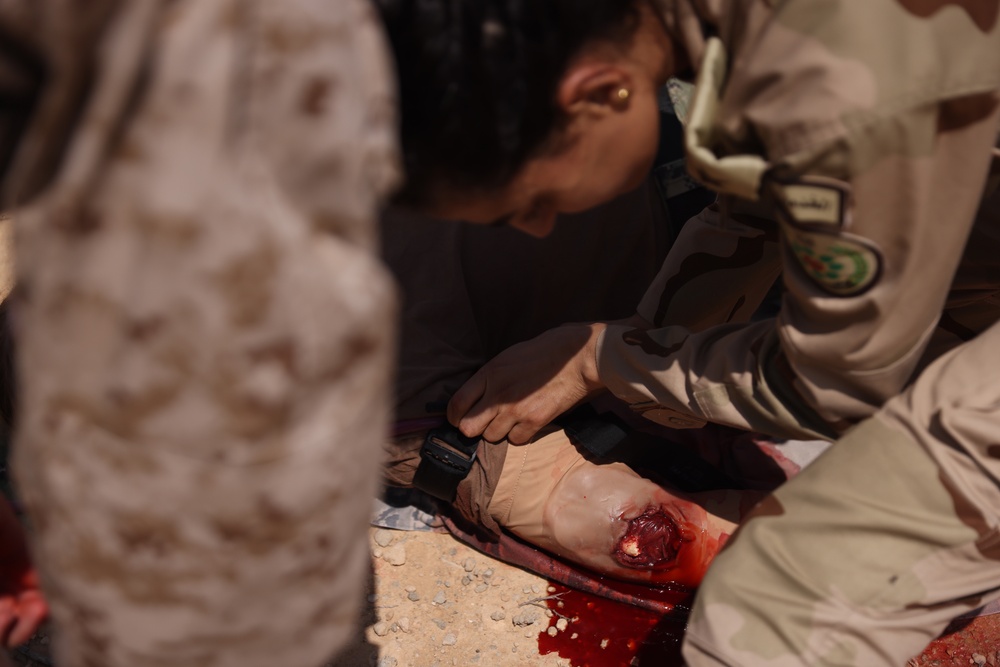 U.S., Egyptian Service Members Conduct Tactical Combat Casualty Care Training