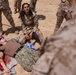 U.S., Egyptian Service Members Conduct Tactical Combat Casualty Care Training