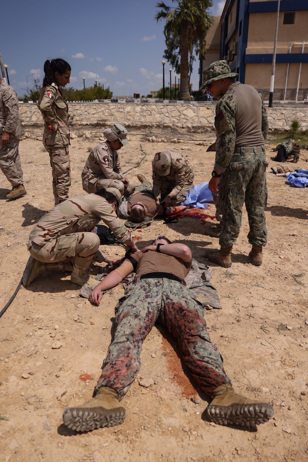 U.S., Egyptian Service Members Conduct Tactical Combat Casualty Care Training