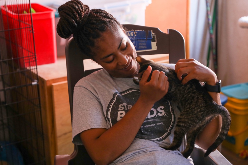 The Impact of Volunteering