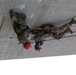 55th CERFP Search Rescue Conduct Training Missions on Camp Ripley Training Center