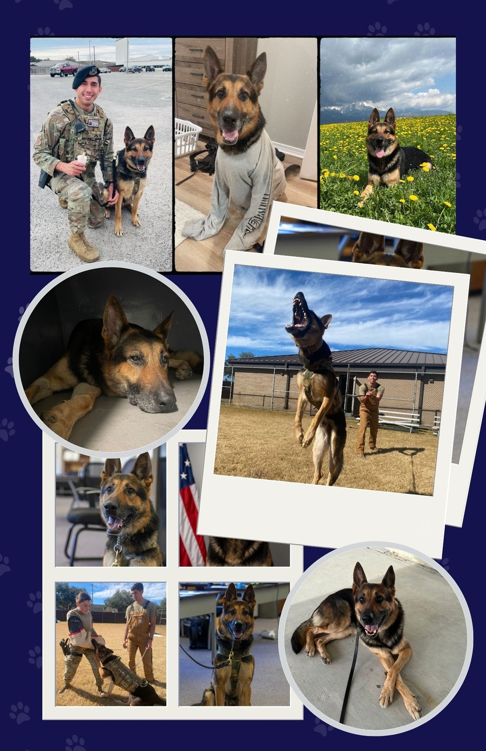 MWD Gamma Retirement Ceremony Program