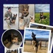 MWD Gamma Retirement Ceremony Program