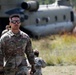 Airmen from the 133rd Airlift Wing conduct Joint MEDEVAC with Army Aviators